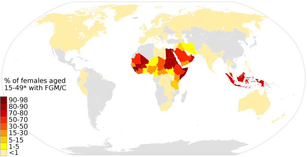 World prevalence rates of FGM according to the 2020 Global Response report. Grey countries' data are not covered.